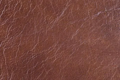 High resolution texture. Background. Skin. Stock Photos