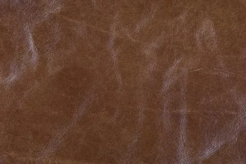 High resolution texture. Background. Skin. Stock Photos