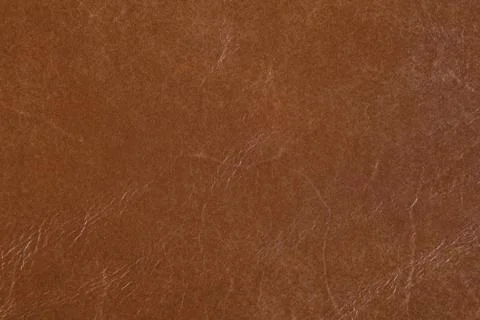High resolution texture. Background. Skin. Stock Photos