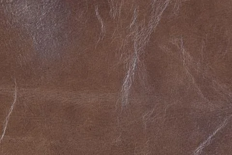 High resolution texture. Background. Skin. Stock Photos