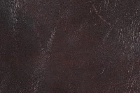High resolution texture. Background. Skin. Foto stock
