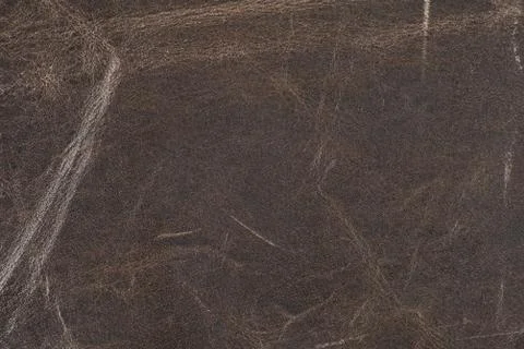 High resolution texture. Background. Skin. Stock Photos