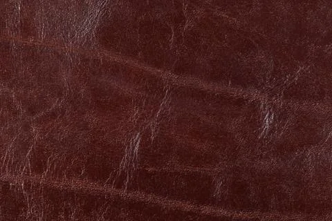 High resolution texture. Background. Skin. Stock Photos