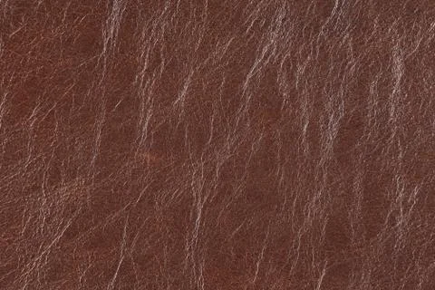 High resolution texture. Background. Skin. Stock Photos
