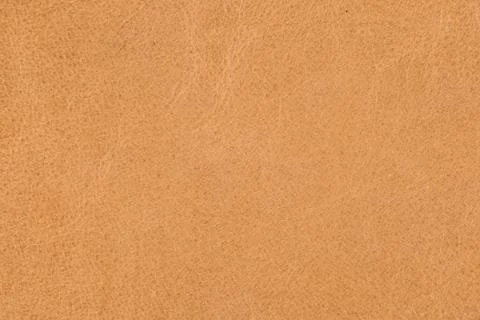 High resolution texture. Background. Skin. Stock Photos