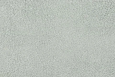 High resolution texture. Background. Skin. Stock Photos