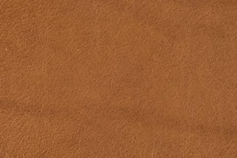 High resolution texture. Background. Skin. Stock Photos