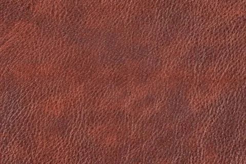 High resolution texture. Background. Skin. Stock Photos