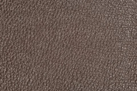 High resolution texture. Background. Skin. Stock Photos