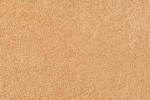 High resolution texture. Background. Skin. Stock Photos