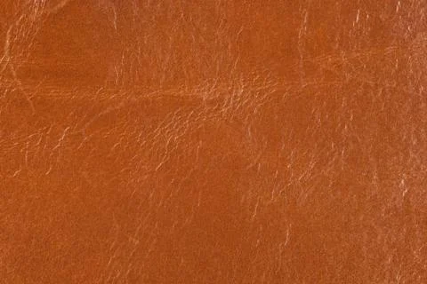 High resolution texture. Background. Skin. Stock Photos