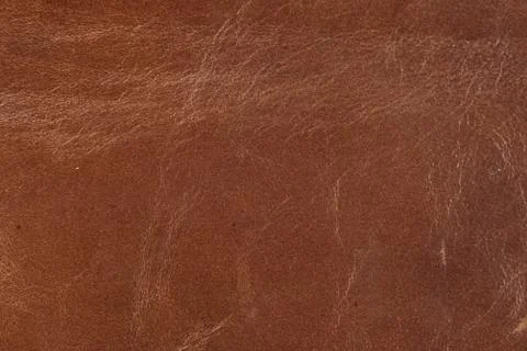 High resolution texture. Background. Skin. Stock Photos