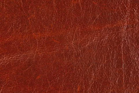 High resolution texture. Background. Skin. Stock Photos