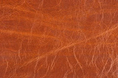 High resolution texture. Background. Skin. Stock Photos