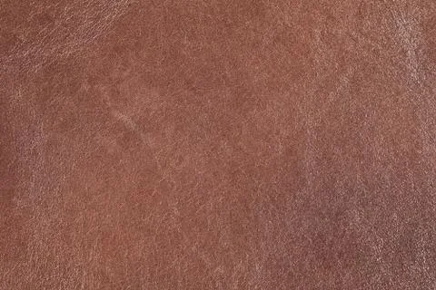 High resolution texture. Background. Skin. Stock Photos