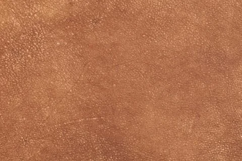High resolution texture. Background. Skin. Stock Photos
