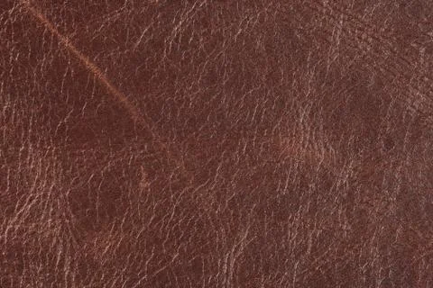 High resolution texture. Background. Skin. Stock Photos