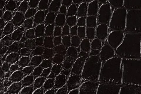 High resolution texture. Background. Skin. Stock Photos