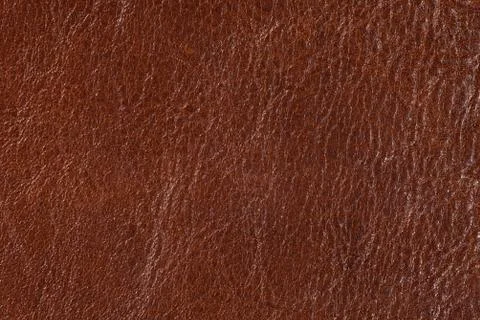 High resolution texture. Background. Skin. Stock Photos
