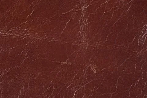 High resolution texture. Background. Skin. Stock Photos