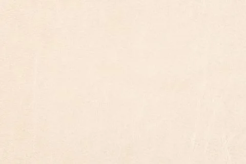 High resolution texture. Background. Skin. Stock Photos