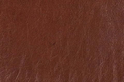 High resolution texture. Background. Skin. Stock Photos