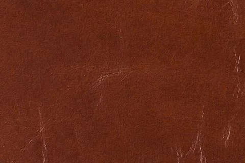 High resolution texture. Background. Skin. Stock Photos