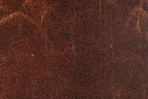 High resolution texture. Background. Skin. Stock Photos