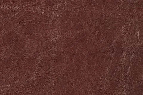 High resolution texture. Background. Skin. Stock Photos