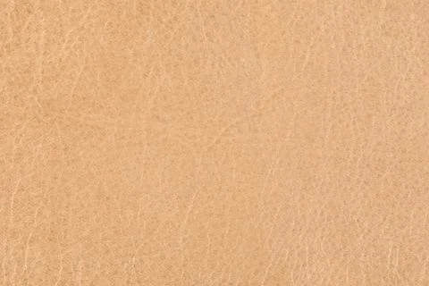 High resolution texture. Background. Skin. Stock Photos