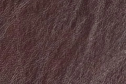 High resolution texture. Background. Skin. Stock Photos
