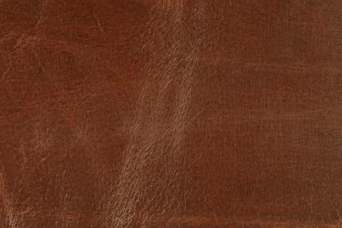 High resolution texture. Background. Skin. Stock Photos