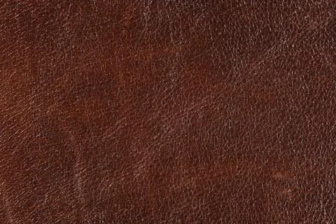 High resolution texture. Background. Skin Stock Photos