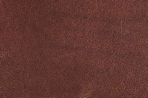 High resolution texture. Background. Skin. Stock Photos