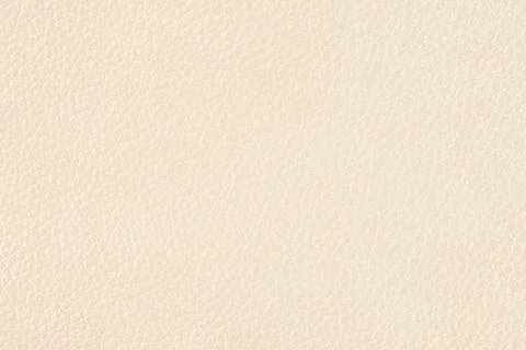 High resolution texture. Background. Skin. Stock Photos