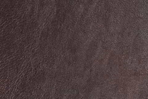 High resolution texture. Background. Skin. Stock Photos