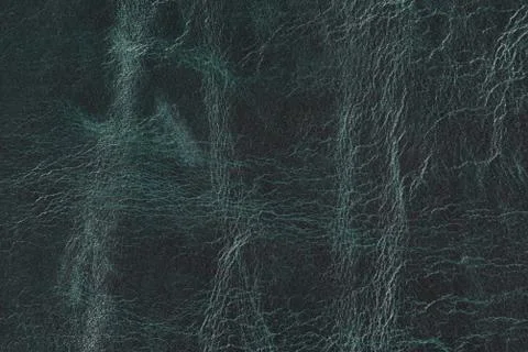 High resolution texture. Background. Skin. Stock Photos