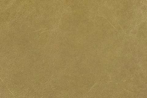 High resolution texture. Background. Skin. Stock Photos