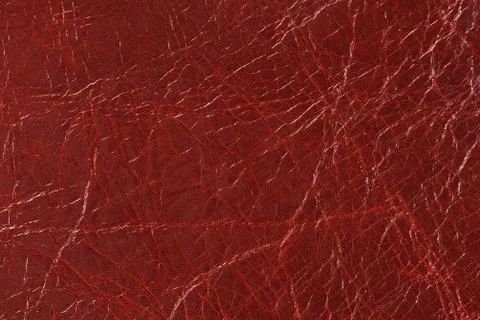 High resolution texture. Background. Skin. Stock Photos