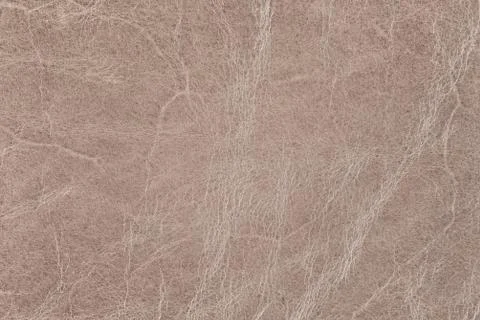 High resolution texture. Background. Skin. Stock Photos