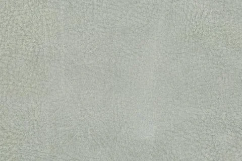 High resolution texture. Background. Skin. Stock Photos