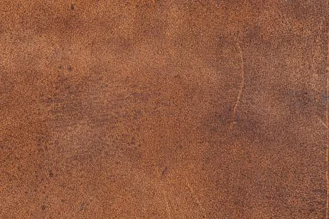 High resolution texture. Background. Skin. Stock Photos