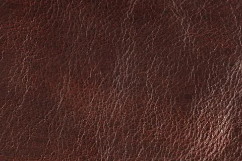 High resolution texture. Background. Skin. Stock Photos