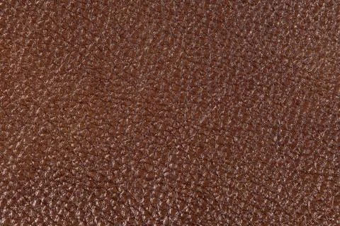 High resolution texture. Background. Skin. Stock Photos