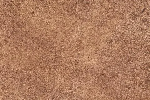 High resolution texture. Background. Skin. Stock Photos