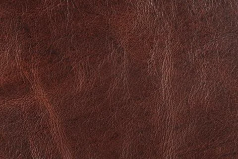 High resolution texture. Background. Skin. Stock Photos