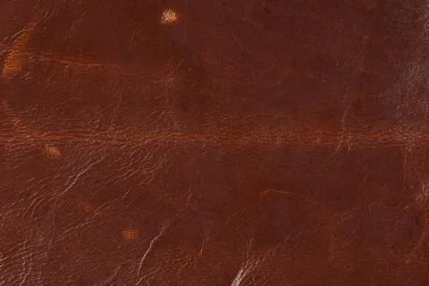 High resolution texture. Background. Skin. Stock Photos