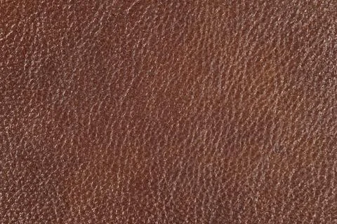 High resolution texture. Background. Skin. Stock Photos