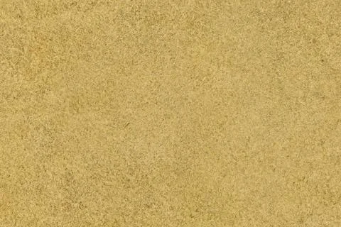 High resolution texture. Background. Skin Stock Photos