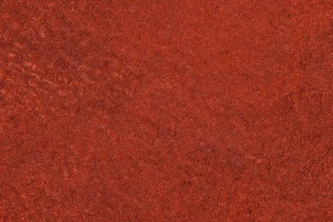 High resolution texture. Background. Skin. Stock Photos